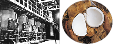 World’s first oil from pressurized extraction of copra