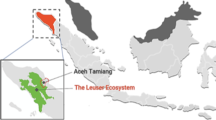 ルセルエコシステムに関するアチェ・タミアン地域の場所